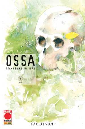 Ossa 7