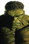 L'Immortale Hulk 32 - Variant Alex Ross