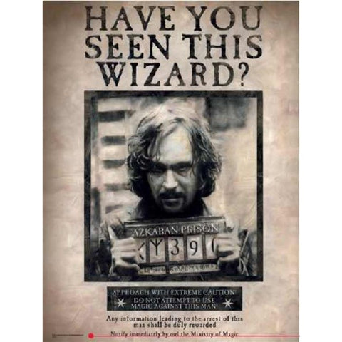 HARRY POTTER - GLASS POSTER (30X40) - HAVE YOU SEEN THIS WIZARD